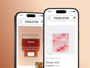 Shopify Plus case study — Elevating Wellness Through Seamless Digital Growth