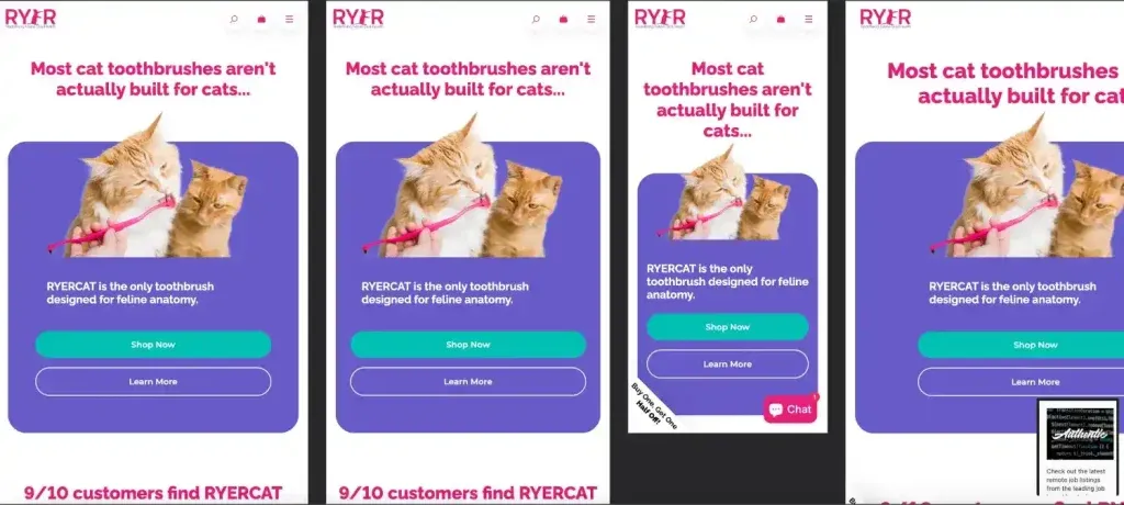 Redefining Oral Care for Cats with RYERCAT