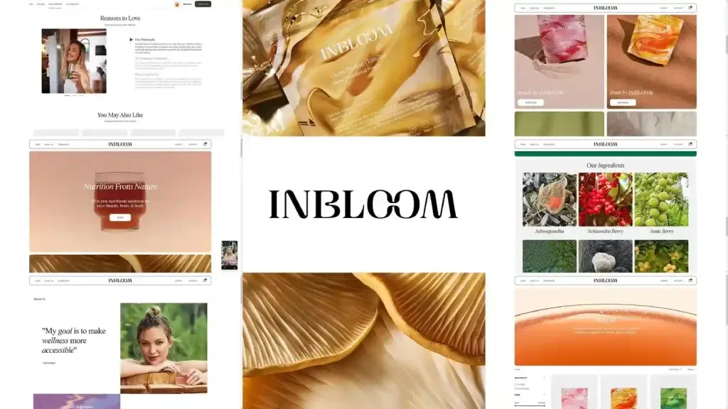 Elevating Wellness Through Seamless Digital Growth