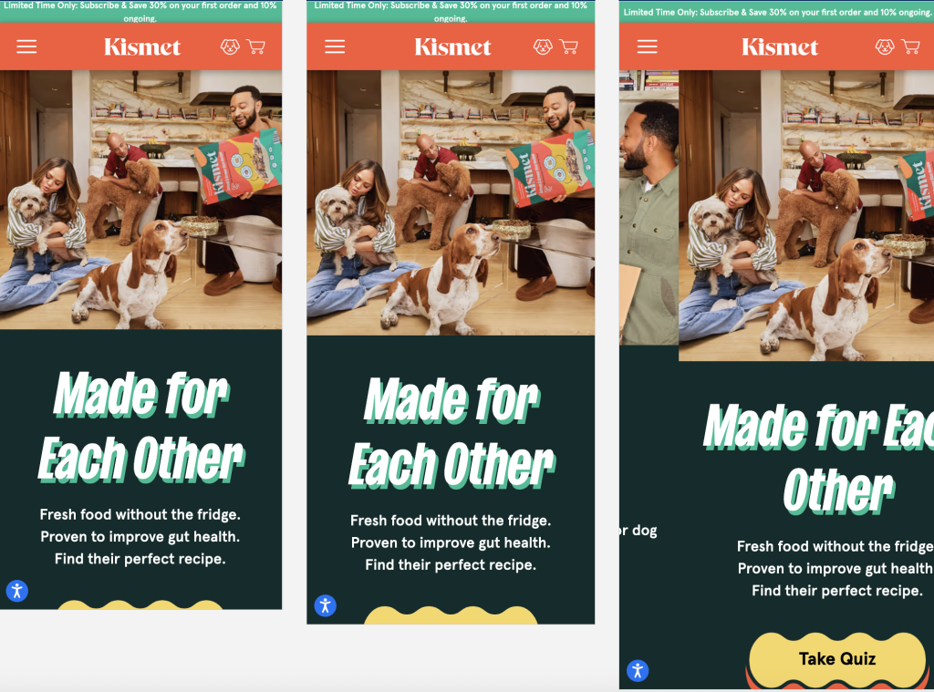 Refining Product Communication for a Pet Wellness Brand