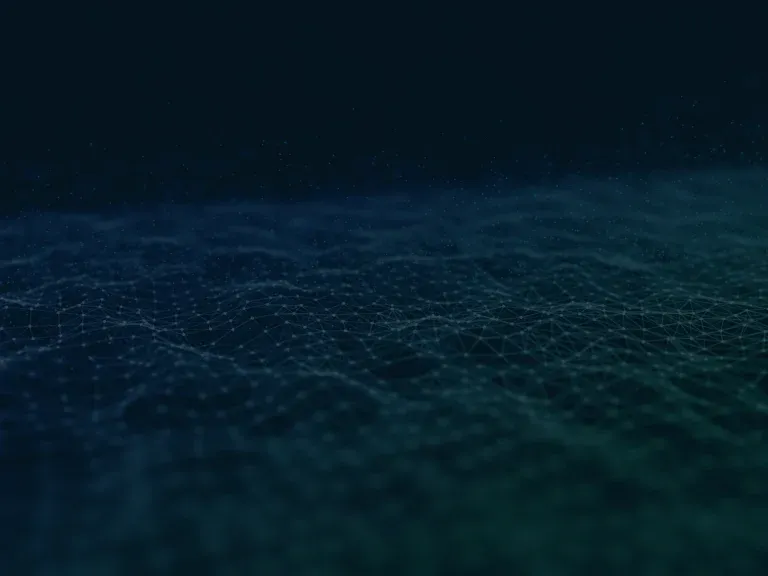 Shopify Migration Services