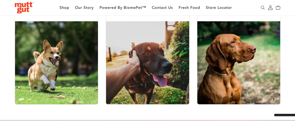 Building a Trust-First Shopify Store for a Fermentation-Powered Pet Wellness Brand