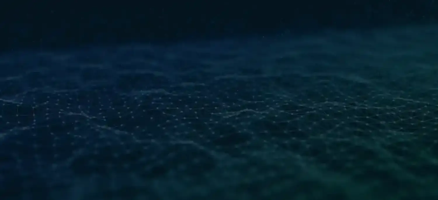 Shopify Plus <span> Development Services</span>